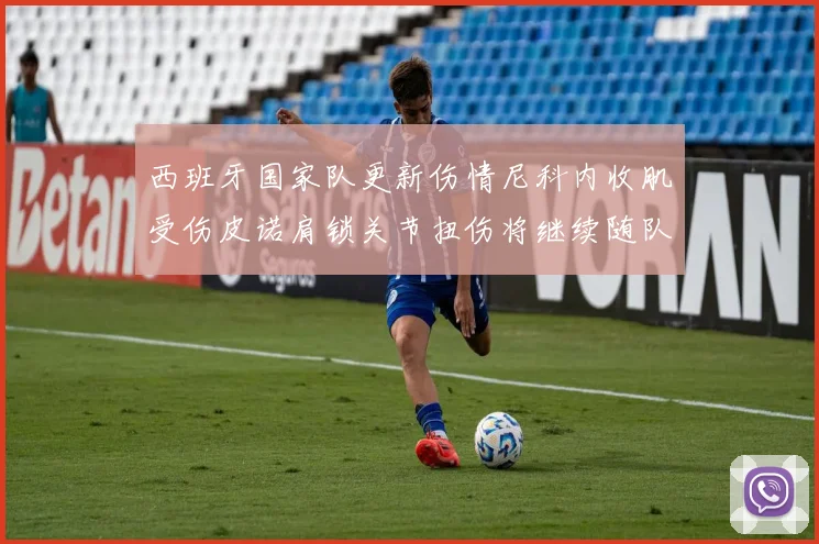西班牙国家队更新伤情尼科内收肌受伤皮诺肩锁关节扭伤将继续随队训练