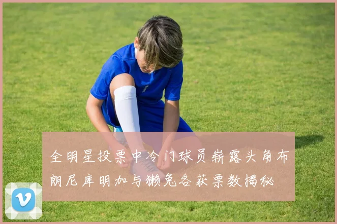 全明星投票中冷门球员崭露头角布朗尼库明加与獭兔各获票数揭秘