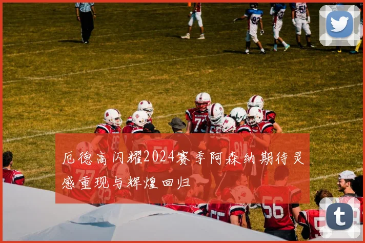 厄德高闪耀2024赛季阿森纳期待灵感重现与辉煌回归